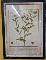 Bild Belbe Blume 50x37cm 32.00